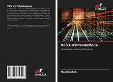 Capa do livro de VES Un'introduzione 