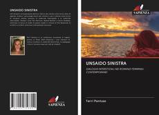 UNSAIDO SINISTRA kitap kapağı