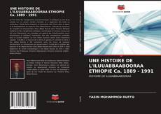 UNE HISTOIRE DE L'ILUUABBAABOORAA ETHIOPIE Ca. 1889 - 1991的封面
