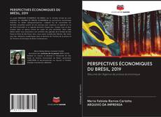 PERSPECTIVES ÉCONOMIQUES DU BRÉSIL, 2019 kitap kapağı
