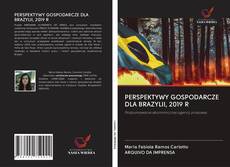 PERSPEKTYWY GOSPODARCZE DLA BRAZYLII, 2019 R kitap kapağı
