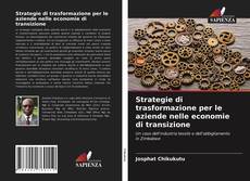 Bookcover of Strategie di trasformazione per le aziende nelle economie di transizione