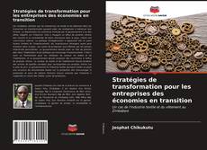 Buchcover von Stratégies de transformation pour les entreprises des économies en transition