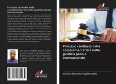 Capa do livro de Principio cardinale della complementarietà nella giustizia penale internazionale 