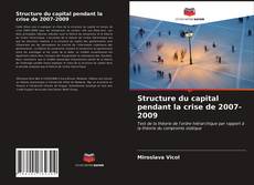 Capa do livro de Structure du capital pendant la crise de 2007-2009 