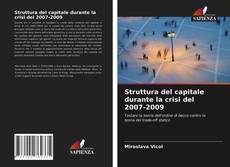 Обложка Struttura del capitale durante la crisi del 2007-2009