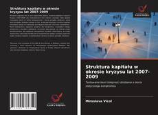 Buchcover von Struktura kapitału w okresie kryzysu lat 2007-2009