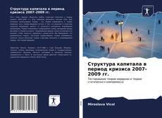 Copertina di Структура капитала в период кризиса 2007-2009 гг.