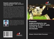 Risposta superovulatoria con iniezione di FSH-P nelle vacche di razza incrociata的封面