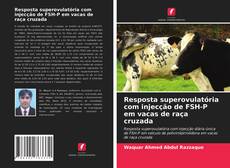 Couverture de Resposta superovulatória com injecção de FSH-P em vacas de raça cruzada