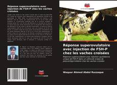 Copertina di Réponse superovulatoire avec injection de FSH-P chez les vaches croisées