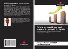 Public expenditure and economic growth in Benin kitap kapağı