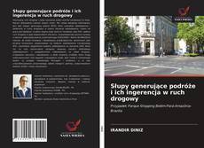 Buchcover von Słupy generujące podróże i ich ingerencja w ruch drogowy