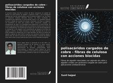 Capa do livro de polisacáridos cargados de cobre - fibras de celulosa con acciones biocidas 