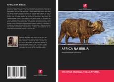 Buchcover von AFRICA NA BÍBLIA