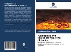 Bookcover of Geldpolitik und makroökonomische Schocks: