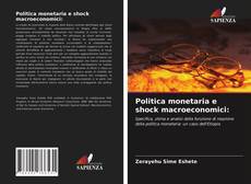 Politica monetaria e shock macroeconomici: kitap kapağı