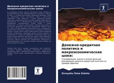 Bookcover of Денежно-кредитная политика и макроэкономические шоки: