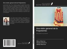 Una visión general de la Pulpotomía: kitap kapağı