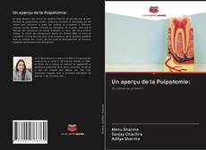 Bookcover of Un aperçu de la Pulpotomie: