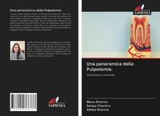 Buchcover von Una panoramica della Pulpotomia: