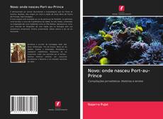 Buchcover von Novo: onde nasceu Port-au-Prince