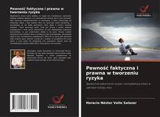 Capa do livro de Pewność faktyczna i prawna w tworzeniu ryzyka 