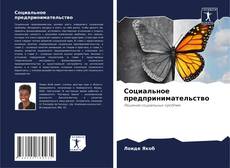 Bookcover of Социальное предпринимательство