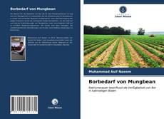 Buchcover von Borbedarf von Mungbean