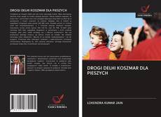 Bookcover of DROGI DELHI KOSZMAR DLA PIESZYCH