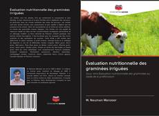 Bookcover of Évaluation nutritionnelle des graminées irriguées