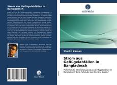 Capa do livro de Strom aus Geflügelabfällen in Bangladesch 