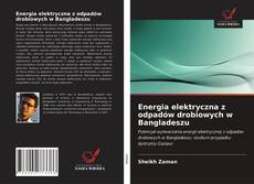 Buchcover von Energia elektryczna z odpadów drobiowych w Bangladeszu