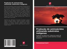 Capa do livro de Produção de aminoácidos utilizando substratos indígenas 