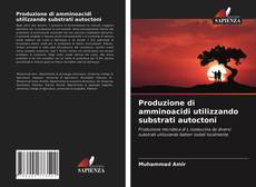 Portada del libro de Produzione di amminoacidi utilizzando substrati autoctoni