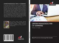 Bookcover of CRITERI PEDAGOGICI PER L'E-LEARNING
