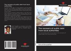 Copertina di The recovery of public debt from local authorities