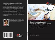 Bookcover of Il recupero del debito pubblico dalle autorità locali