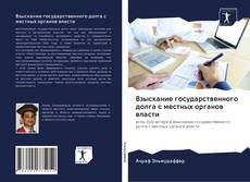 Portada del libro de Взыскание государственного долга с местных органов власти