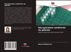 Buchcover von Récupération améliorée du pétrole