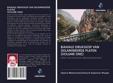 Bookcover of BIAXIALE DRUKGESP VAN GELAMINEERDE PLATEN (VOLUME ONE)