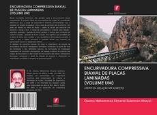 Copertina di ENCURVADURA COMPRESSIVA BIAXIAL DE PLACAS LAMINADAS (VOLUME UM)