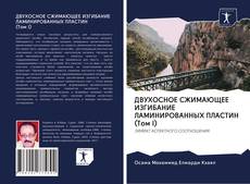 Couverture de ДВУХОСНОЕ СЖИМАЮЩЕЕ ИЗГИБАНИЕ ЛАМИНИРОВАННЫХ ПЛАСТИН (Том I)