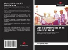 Buchcover von Global performance of an industrial group