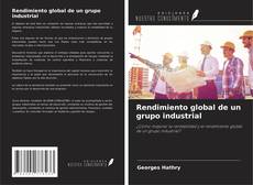 Capa do livro de Rendimiento global de un grupo industrial 