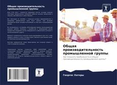 Couverture de Общая производительность промышленной группы