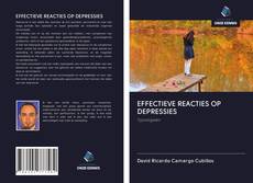 EFFECTIEVE REACTIES OP DEPRESSIES kitap kapağı