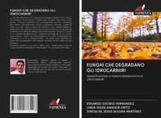Buchcover von FUNGHI CHE DEGRADANO GLI IDROCARBURI