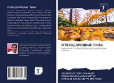 Capa do livro de УГЛЕВОДОРОДНЫЕ ГРИБЫ 