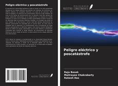 Couverture de Peligro eléctrico y poscatástrofe
